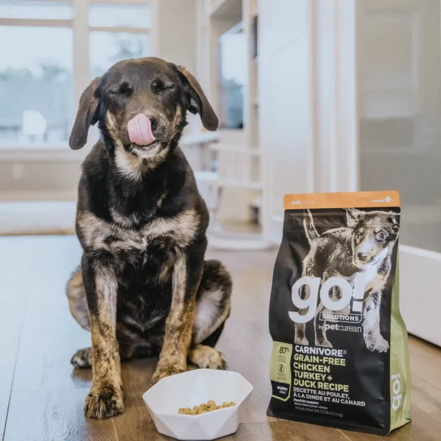 【Go!】雞肉鮭魚 3.5磅 幼犬/懷孕犬高肉量系列 無穀天然糧(狗糧 挑嘴 狗飼料)
