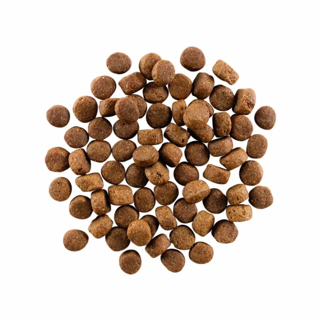 【Go!】雞肉鮭魚 3.5磅 兩件優惠組 老犬高肉量系列 低卡無穀天然糧(狗糧 體重控制 狗飼料 寵物食品)