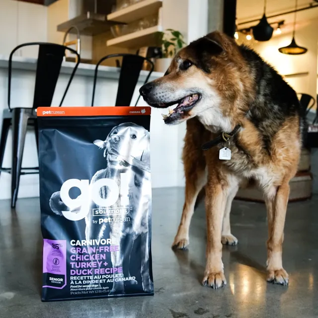 【Go!】雞肉鮭魚 3.5磅 兩件優惠組 老犬高肉量系列 低卡無穀天然糧(狗糧 體重控制 狗飼料 寵物食品)