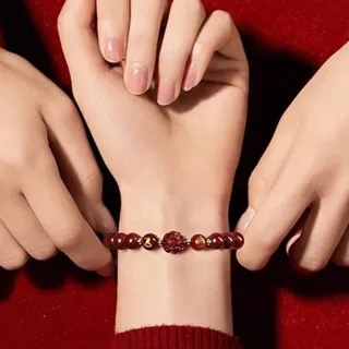 【LEESA】生肖手鍊\本命年\硃砂手串\紫金砂手鍊\三合六合\招財手鍊\開運手鍊\保平安\避邪 