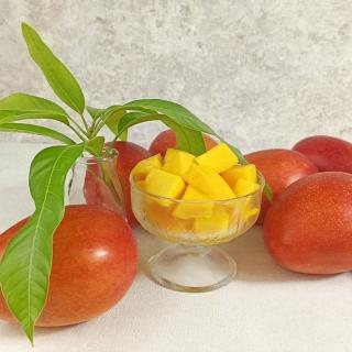 【永齡選物】愛文芒果5kg±10%/箱(約12-15顆)