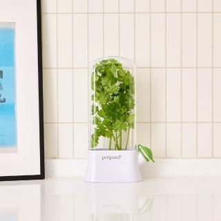 【Prepara】香草植物保鮮盒(2號)
