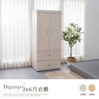 【H&D 東稻家居】DIGNITAS狄尼塔斯3X6尺二抽衣櫃(MIT 臺灣製 衣櫃 衣櫥 免組裝)