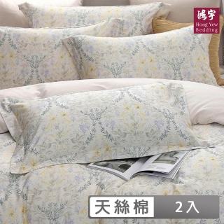 【HongYew 鴻宇】400織天絲棉 歐式壓框薄枕套-比安思(2入)