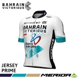 【MERIDA 美利達】巴林勝利車隊版短車衣 2025(車隊/車服/競賽車衣/男車衣/單車/自行車)