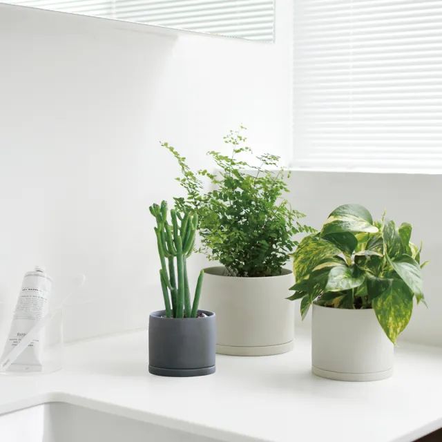 【Kinto】PLANT POT 191 陶瓷花盆13.5cm-大地灰 2.0