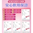 【iVENOR】十時塑花草茶-綜合口味x24盒(共240包 飲后囤貨組)
