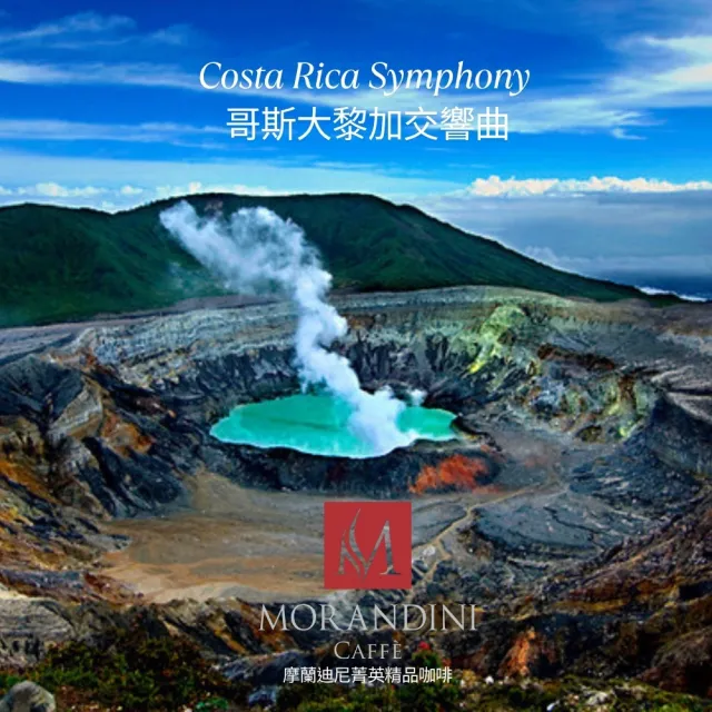 【MORANDINI 摩蘭迪尼菁英精品咖啡】哥斯大黎加交響曲 單品咖啡豆半磅(新鮮到貨、19面金牌常勝軍烘焙)