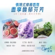 【OPAL 澳寶】澳寶保濕精華香氛沐浴露-午夜晴空(790g-琥珀木質香)