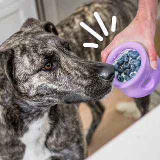【West Paw】Toppl益智搖擺漏食3英吋-S(中小型犬/狗玩具/耐咬/互動/益智/漏食/慢食/浮水/寵物玩具)