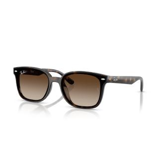 【RayBan 雷朋】大鏡片 膠框 太陽眼鏡 墨鏡(RB4461D 64508G、 710/13)
