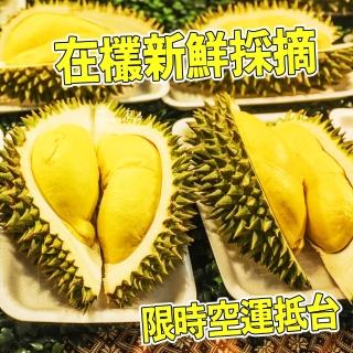 【臺灣紅】越南幹腰金枕頭榴槤10Kgx1箱(3-4顆裝/10Kg±10%/箱 產地鮮採直送 唯一全程低溫保鮮)