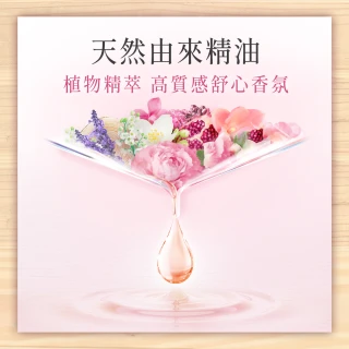 福利品/即期品【Lenor 蘭諾】衣物芳香豆/香香豆 520ml+4D抗菌洗衣膠囊 11顆 盒裝(晨曦玫瑰/甜柔麝香)