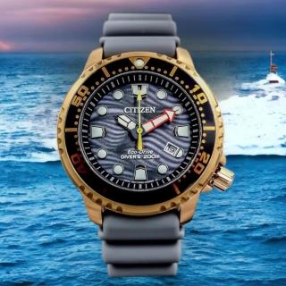 【CITIZEN 星辰】PROMASTER 限量光動能潛水腕錶/灰面44mm(BN0163-00H)