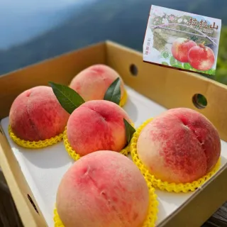 【黑貓嚴選】拉拉山水蜜桃8入禮盒(1.2kg/盒 七月桃 產地直送)