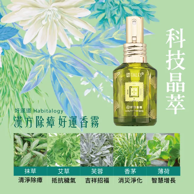 【好運道】湯鎮瑋-五寶草漢方開運香霧噴霧瓶4入+招財納福提袋&如魚得水開運手鍊(除穢/健康/防小人/投資)