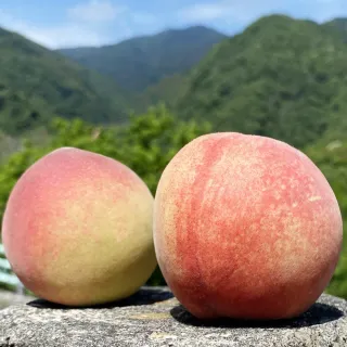 【LINE社群專屬-初品果】拉拉山水蜜桃禮盒10顆x2盒(水蜜桃共4斤_產地直送_季節限定_禮盒)