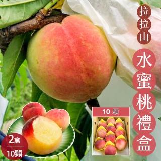 【初品果】拉拉山水蜜桃禮盒10顆2盒(10顆/盒 共2.4kg 產地直送 季節限定 企業送禮)