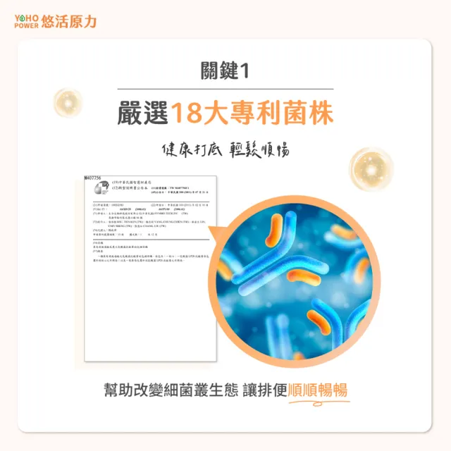 【悠活原力】LP28敏立清Plus益生菌 乳酸原味X5盒(30條入/盒)