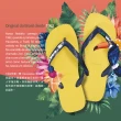 【havaianas 哈瓦仕】情侶鞋 Top Disney Classics 史迪奇 人字拖 夾腳拖 星際寶貝(男鞋 女鞋 男女拖鞋)