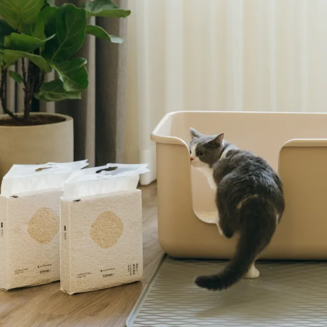 【Meow Servant 喵皇奴】SUPURE ! 極淨貓砂 2.5kg×6入(1.5mm/2.0mm極細豆腐砂)