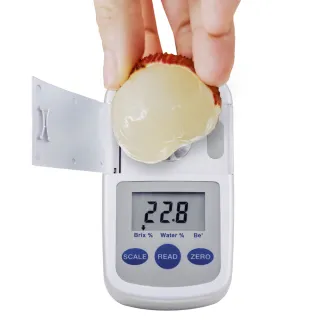 ±32mm南投山林糯米糍/糯米荔枝約3斤x1箱(去枝葉 冷藏配送)