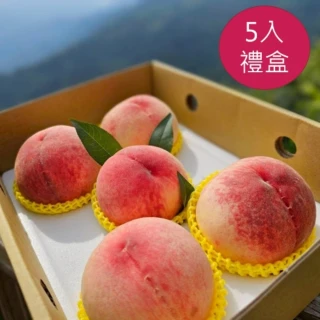 【黑貓嚴選】拉拉山水蜜桃5入禮盒(1.5kg/盒 七月桃 產地直送)