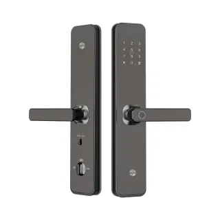 【TEW 台熱牌】H1 智能5合1把手式電子鎖/門鎖(指紋│密碼│卡片│鑰匙│APP遠端開門/含基本安裝)