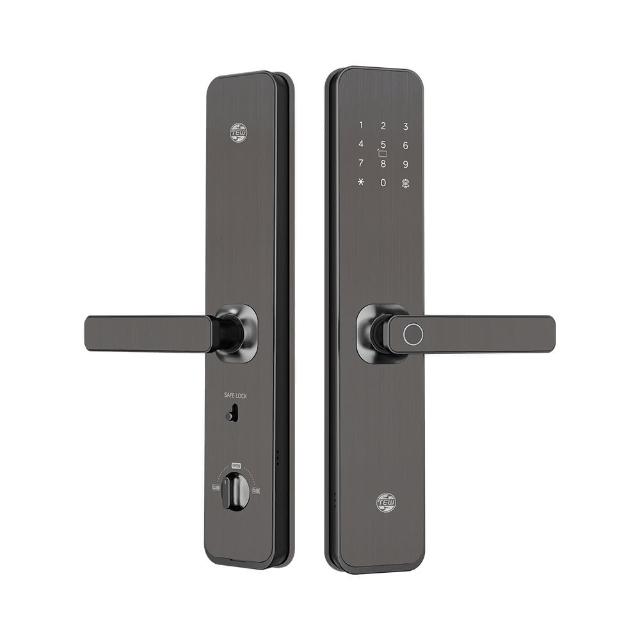 臺熱牌 TEW H1 五合一電子鎖，開門方式多元包括藍芽APP、指紋、感應卡、密碼及傳統鑰匙，適合現代家庭使用。可設定250組指紋+密碼+卡片（含10組管理員），支援一卡通、悠遊卡及原廠卡，指紋最多100組，密碼6-8位數。適用門厚3.8-12cm，使用8顆3號鹼性電池，電池壽命依使用頻率，緊急電源支援Type C USB 5V行動電源。材質鋁合金IML，太空灰色，產地中國，三年保固，NCC認證CCAJ25LP1330T2，提供安全便捷的智慧門鎖解決方案。