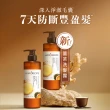 【Hair Recipe】洗髮精/護髮潤髮乳530ml 2入(髮的食譜/髮的料理/生薑清茶新上市)