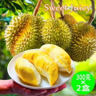 【Gold Thon】泰國正宗特濃A級冷凍金枕頭榴槤300g*3盒 泰國 榴槤 金枕頭榴槤