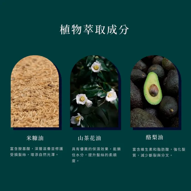 【LODNI 蘿德妮】米糠菁萃護髮油100mL(特別推薦染燙受損毛髮使用)