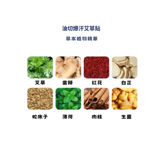 香港大藥房油切爆汗 艾草貼12片/盒-5入組(艾草貼 易濕寒體質 草本排濕貼)