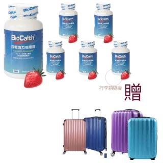 【BioCalth百傲鈣】左旋四碳醣酸鈣吸收率95%草莓口味成人咀嚼鈣(90錠/瓶x6瓶)