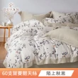 【DUYAN 竹漾】60支100%天絲 雙人鋪棉兩用被套-多款任選 兩用被/四季被/涼被(6x7)
