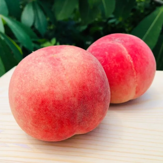 【RealShop 真食材本舖】特大顆加州空運水蜜桃15-16顆約4.5kg x1箱(原裝 水果禮盒 空運4天抵台！)