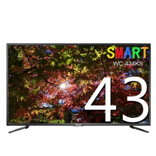 【TEGA】43型 4K 智慧連網液晶顯示器+數位視訊盒(WC-434KS)