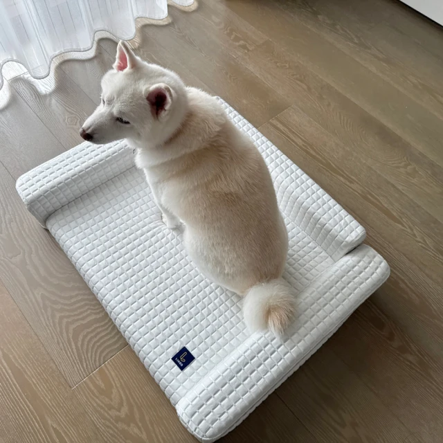 寵物沙發床