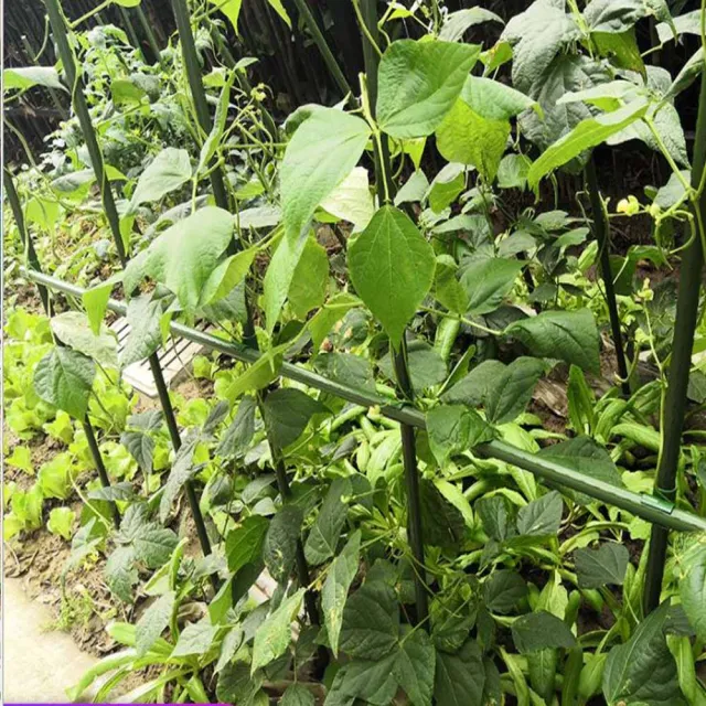 【poko】20mm最粗勇180公分 10入組附鐵絲扣(菜棚 鐵竹竿 加粗園藝植物桿 藤蔓攀藤架)