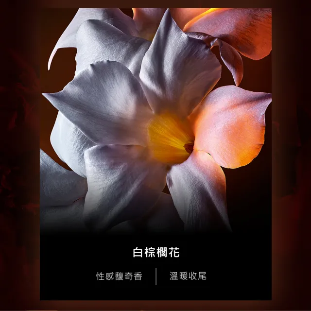 【YSL】官方直營自由不羈 恣意燃花淡香精 90ML(奔放花草香調)