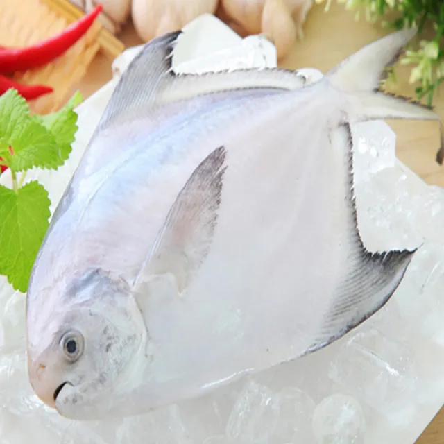 【2026】白鯧魚推薦10款高評價人氣品牌排行榜 | BALIMAN情報局