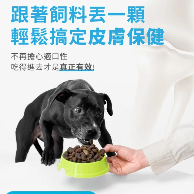 【OurPet 奧沛】犬用膚沛錠x1瓶(30顆、狗皮膚保健食品 寵物皮膚保養 玻尿酸 神經醯胺 乳酸菌 酵母鋅)