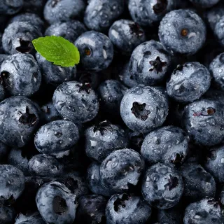 【蔬果邸家】當季野生冷凍藍莓200克x15盒