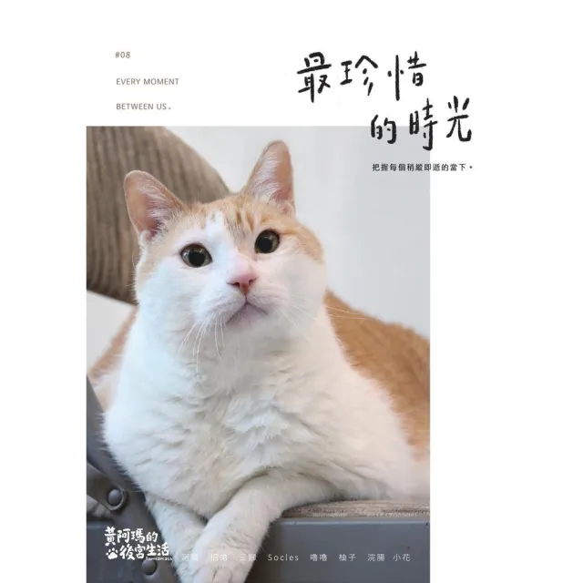 【momoBOOK】黃阿瑪的後宮生活8：最珍惜的時光(電子書)