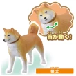 【TAKARA TOMY】ANIA 多美動物 ANIA 快樂狗狗貓貓組