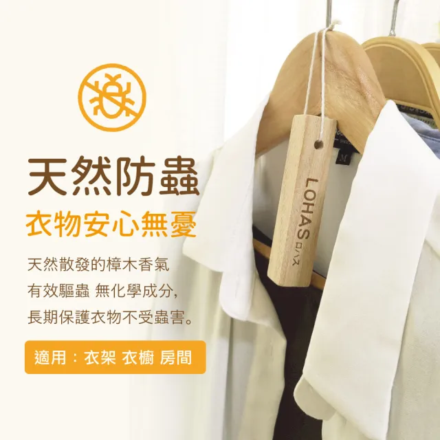 【LOHAS】日本純天然無毒香樟木條240入(鞋櫃鞋盒櫥櫃專用/除濕防黴/除蟲驅蟲/除臭天然原木清香)