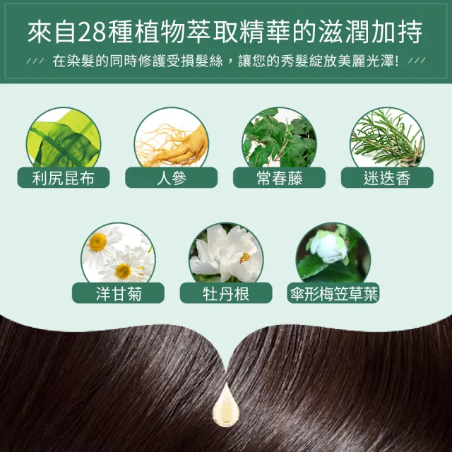 【Sastty】利尻昆布白髮用修復染髮劑200gx2入(3色任選/植萃遮白/染護2合1)