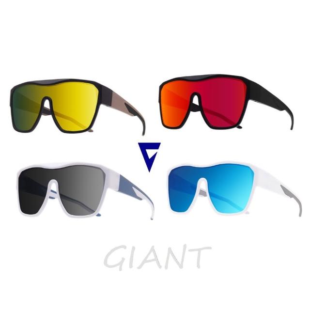 【GIANT】103LS 外掛式偏光太陽眼鏡(開車/騎車/自行車 只要扣上去就好)