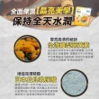 【YM BIOMED 陽明生醫】視倍修x5盒贈1盒(30包/盒)