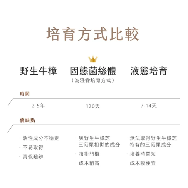 【chenglin 澄霖】澄霖牛樟芝王膠囊1入(共90粒.超過8.5%高倍總三萜類  15%以上總多醣體)